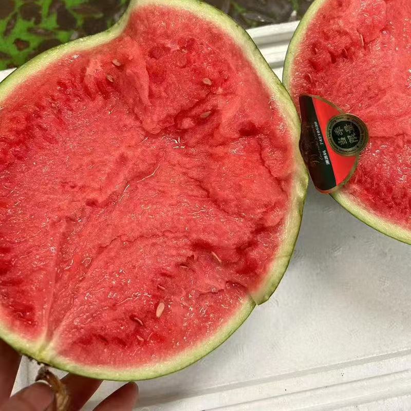 精选正宗甜王西瓜保熟爆甜新鲜采摘s