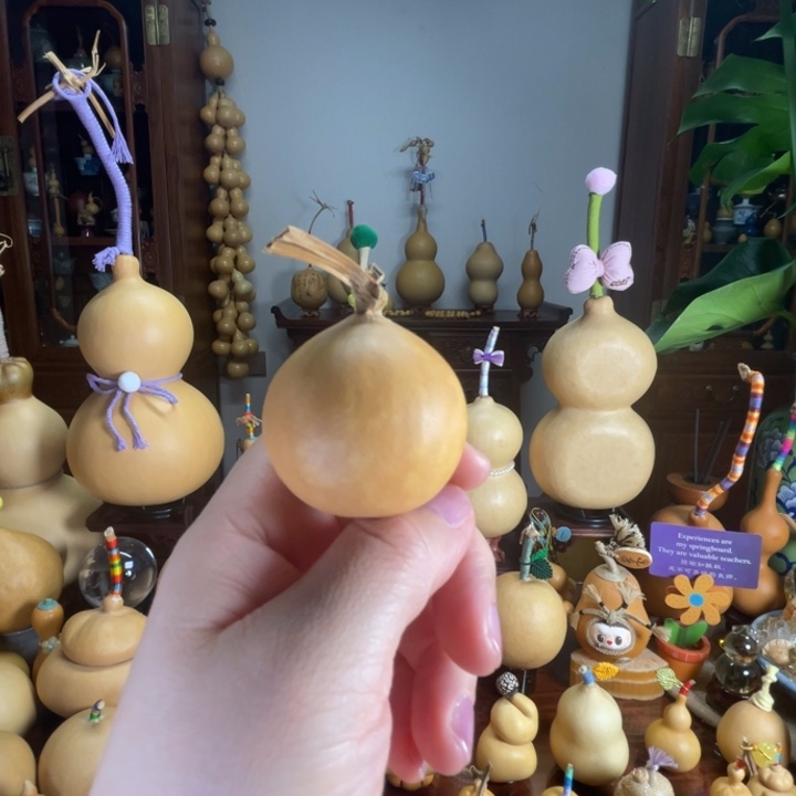 mini柚子葫芦葫芦