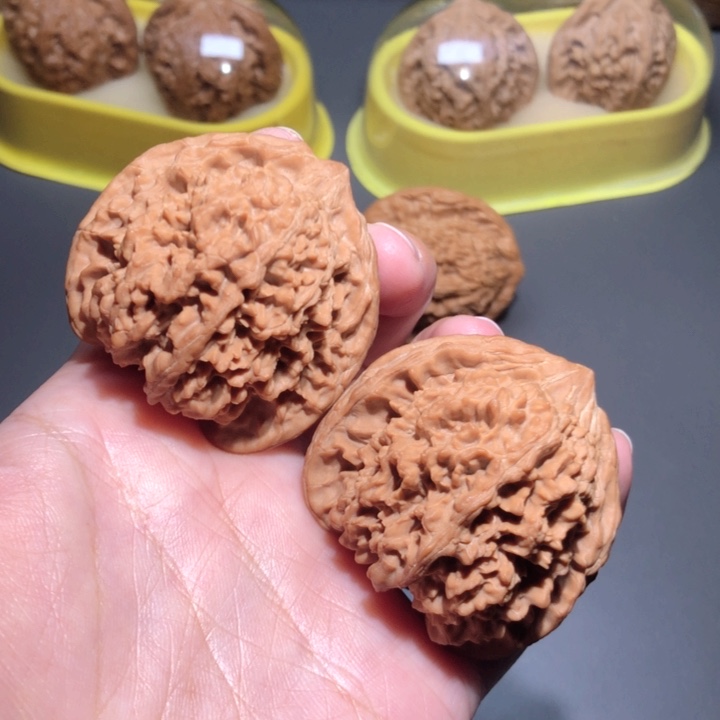 文玩核桃把件44全品满天星