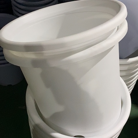 树脂四季6号纯白无托5个