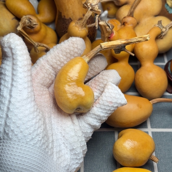 王***珍葫芦风裂6666666666