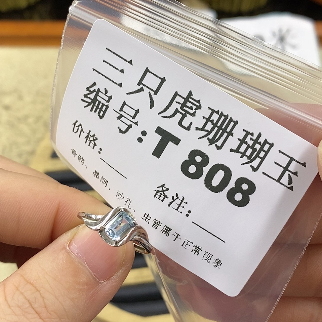 硅化珊瑚（珊瑚玉）1未镶嵌