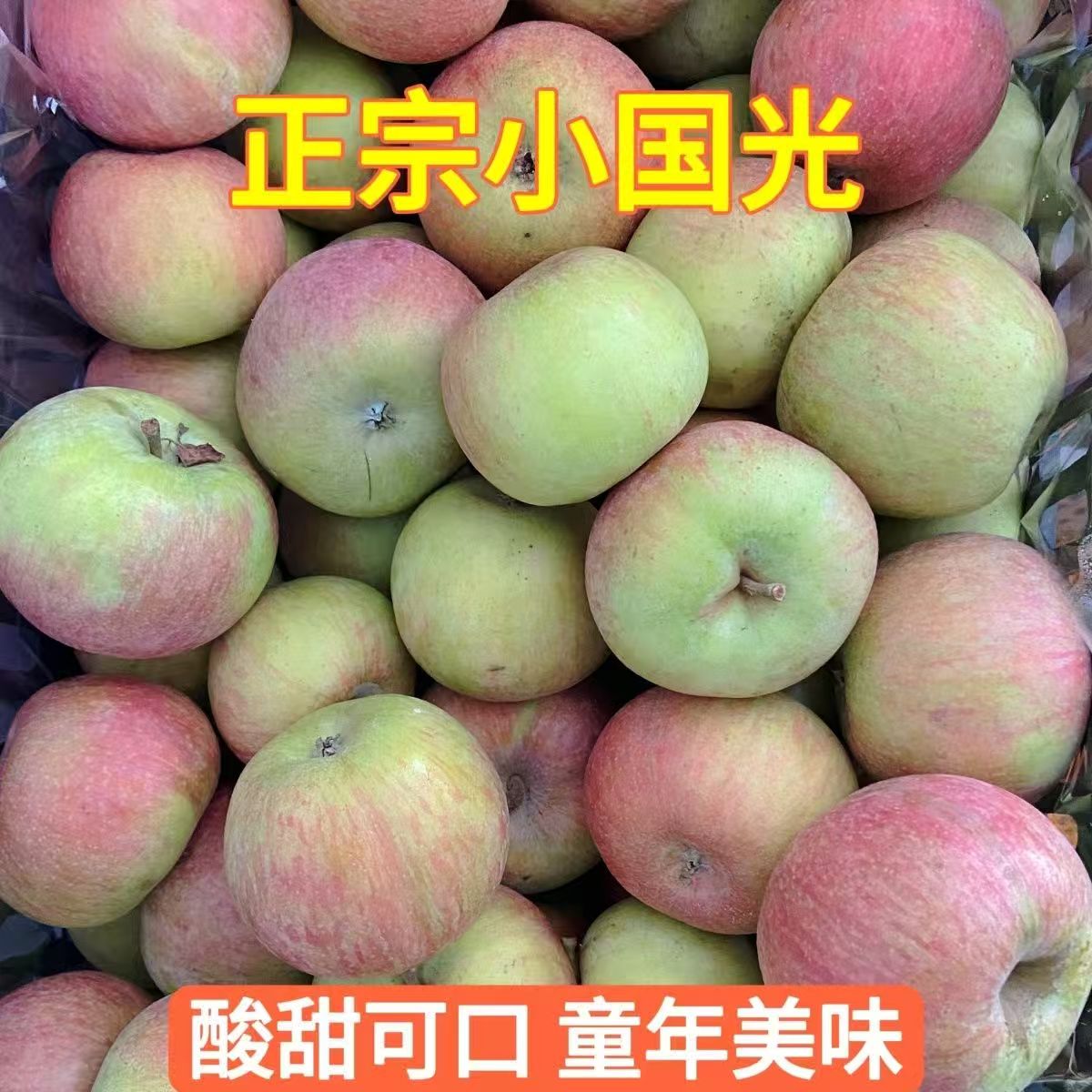 正宗东北新鲜老式国光苹果薄皮酸甜可口老品种小时候味道老苹果树