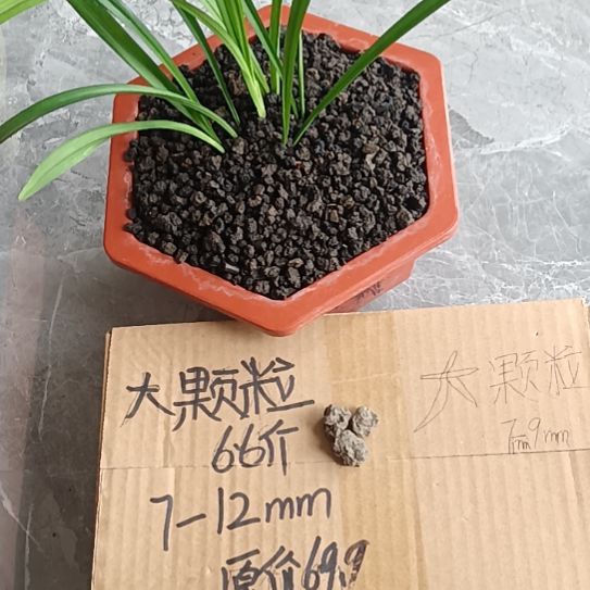 博***械兰菌黑山土大颗粒6.6斤