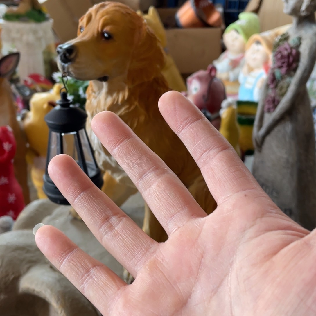 【闪购商品】树脂仿真金毛摆件