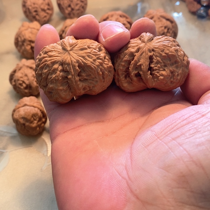 文玩核桃把件T****?白狮子半壁江山