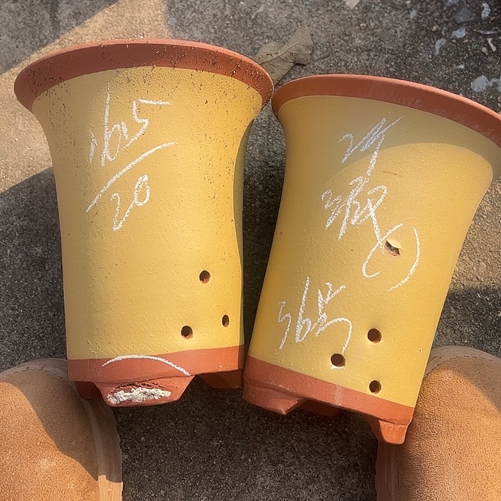 36号号宜兴紫砂花盆特惠