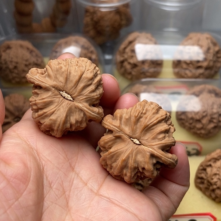 文玩核桃把件重*白狮子