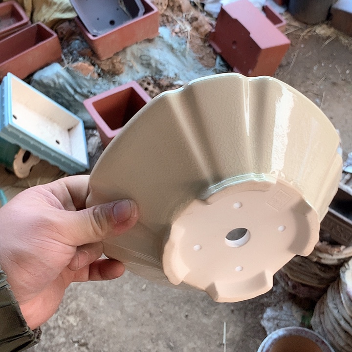 紫砂优秀奖不知道为什么就这样一种