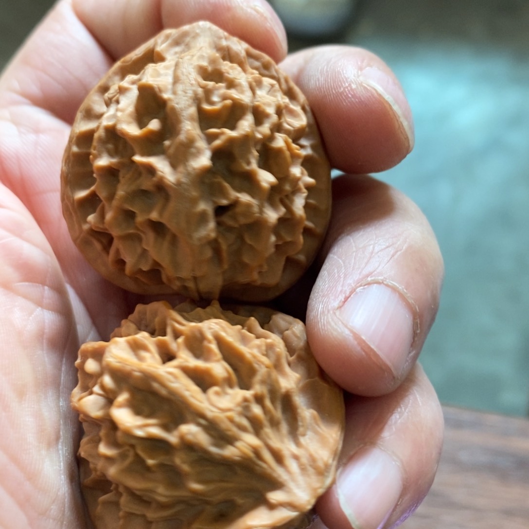 秦岭南侧和东北北部部分