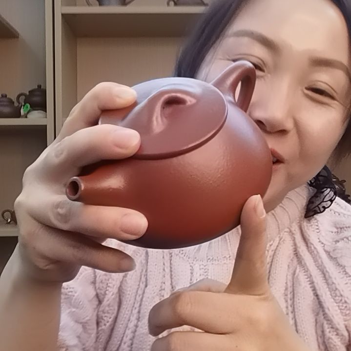 紫砂紫砂壶石瓢壶260