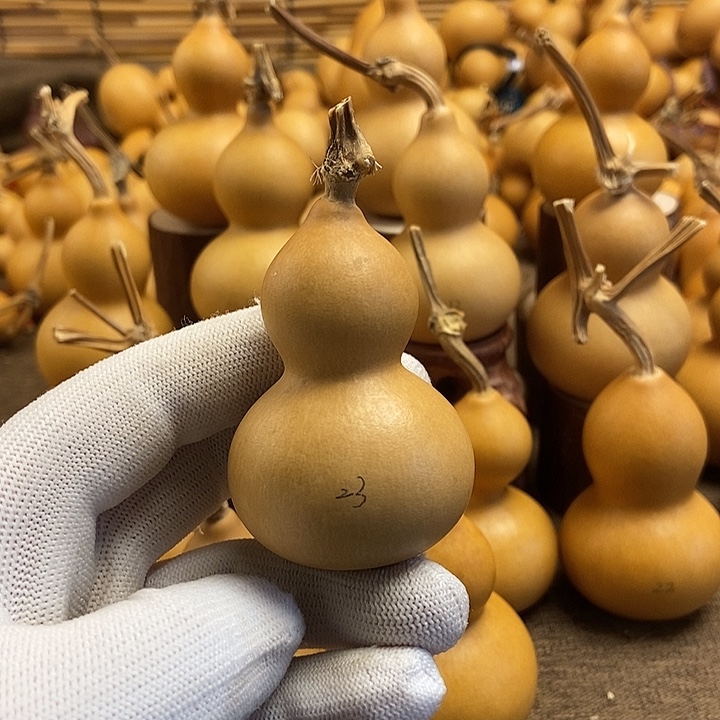 文玩葫芦 完美主义者 慎拍23