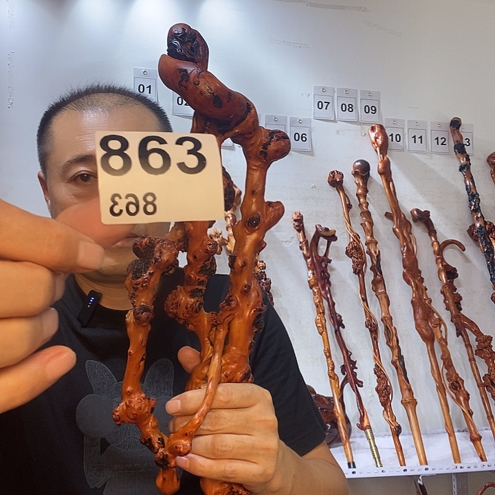 青***水黑果木云南黑果木树榴摆件