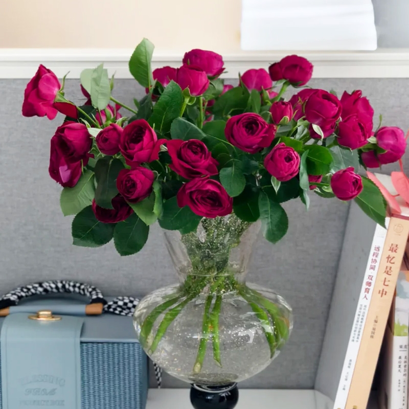 红蕾丝多头玫瑰10枝 云南鲜花基地直发