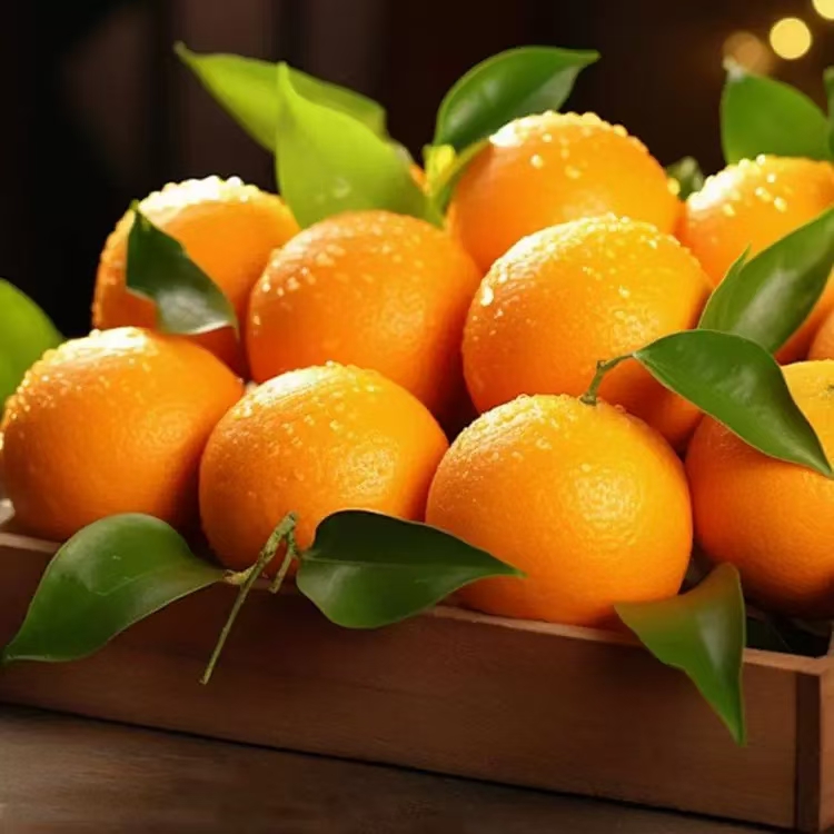 【全疆包邮】赣南脐橙10斤装-京东快递送货上门毛重