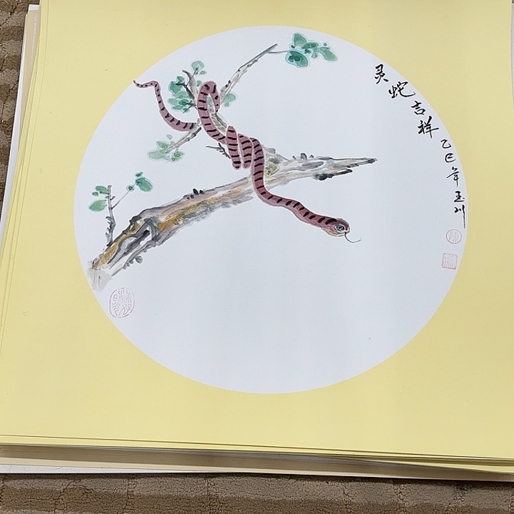 国画花鸟等多种鸟类和鸟类50.50