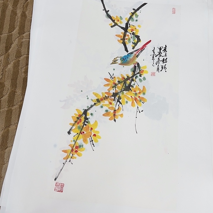 国画花鸟等多种鸟类的四开