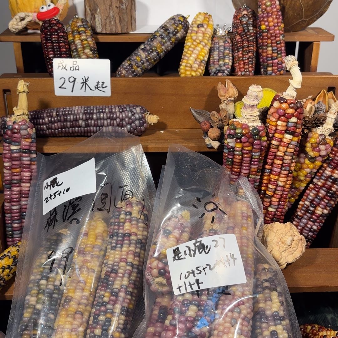 文玩玉米毛料福利防漏不退不换