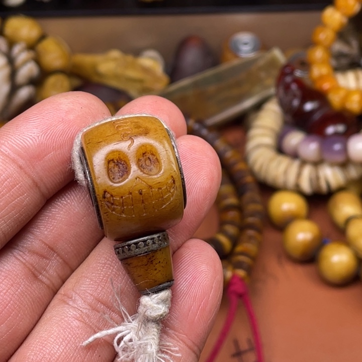 驼骨其他人工养殖