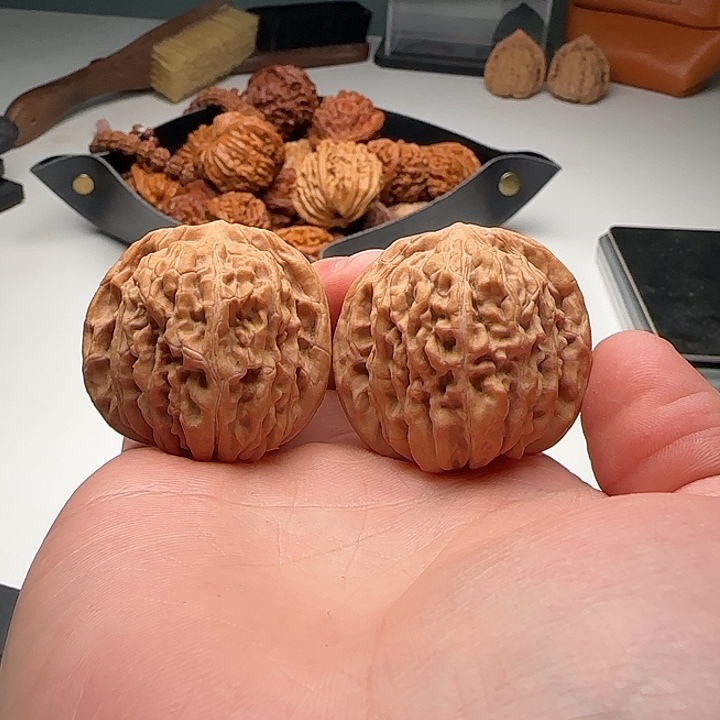 37-37-34一代铁楼C10号