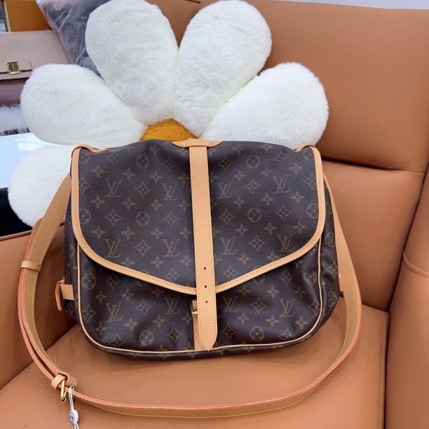 95新 LouisVuitton/路易威登 双子星中号斜挎包/GW