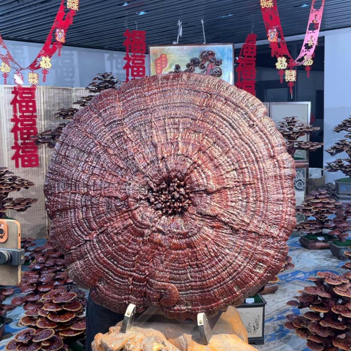 【闪购商品】88888