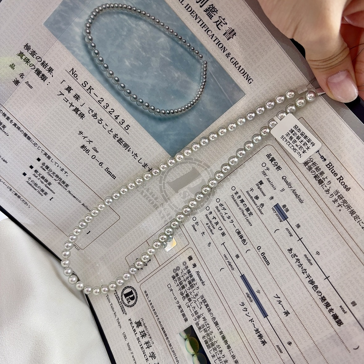 真科研 SK 蓝玫瑰 Akoya 串珠 6-6.5mm 正圆镜面光极微瑕