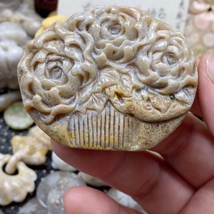 颈饰未镶嵌硅化珊瑚（珊瑚玉）