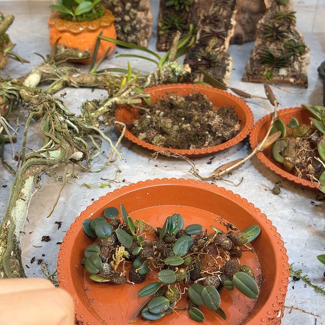 H****e10。。。。。。。。。。。。。