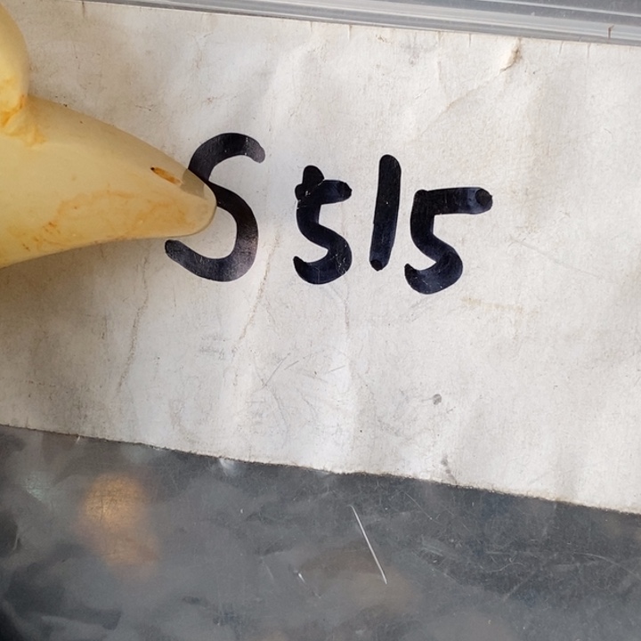 清***老德宝文玩专属链接