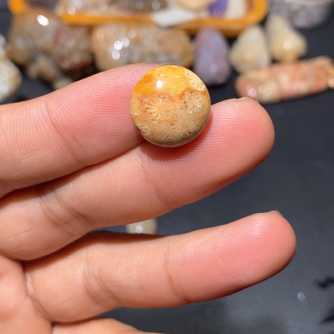 【闪购商品】硅化玉颈饰未镶嵌