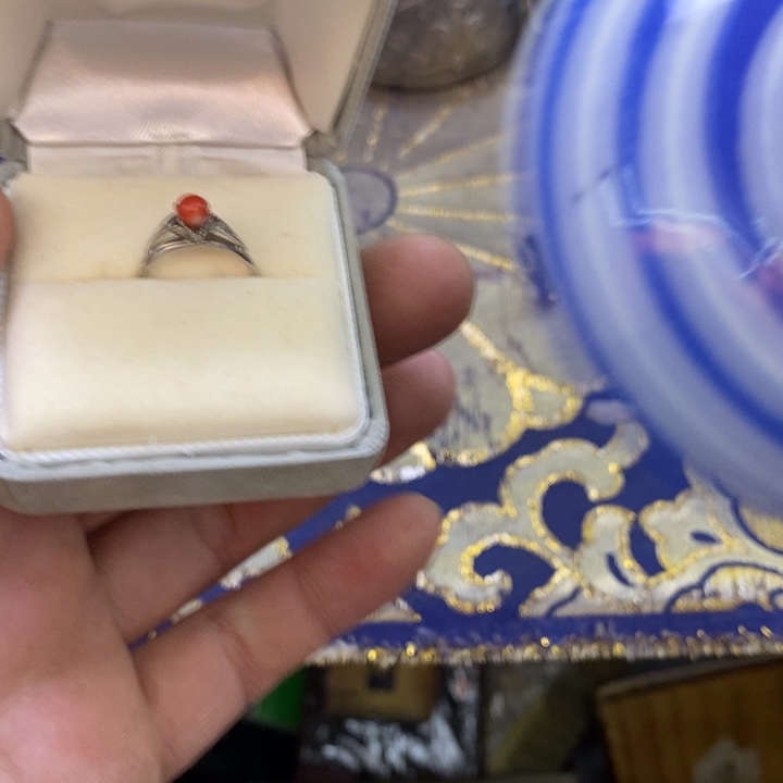 瓷片哦哦哦哦哦哦