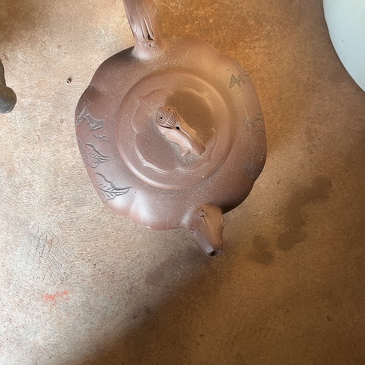 核桃木/黑胡桃（胡桃木）学*