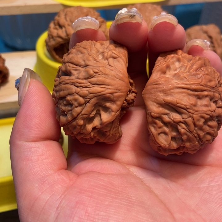 官方网站也将正式