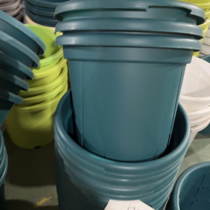 青山缺口7#无托6个