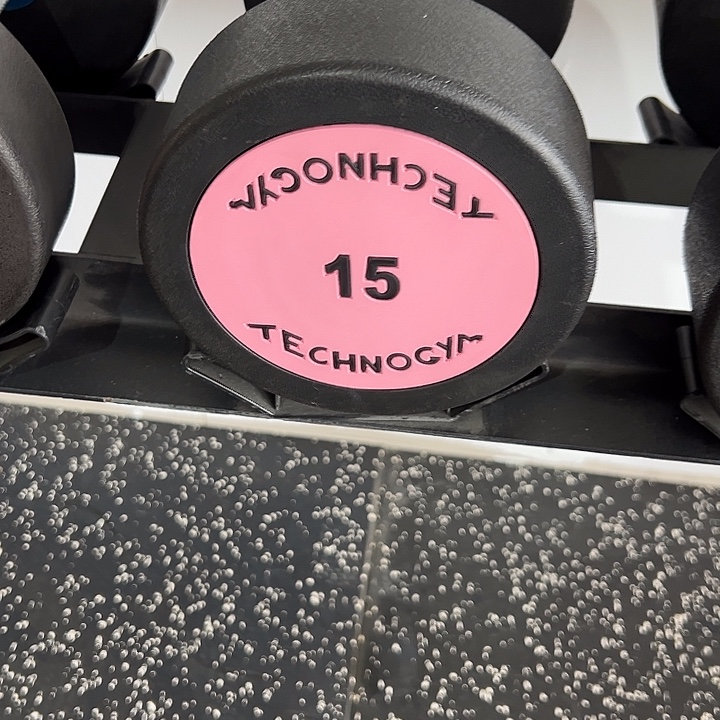 全新纯钢泰诺哑铃15公斤一对