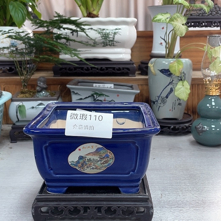 花盆花盆抢购福利