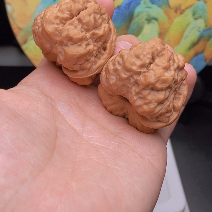 核桃42蛙蛙蛙蛙蛙蛙蛙蛙