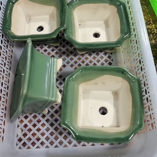 微瑕陶瓷盆12包邮