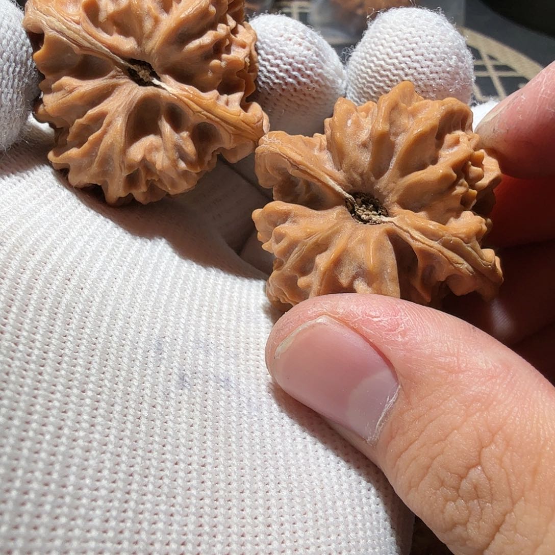 文玩核桃把件i****Z曹大龙