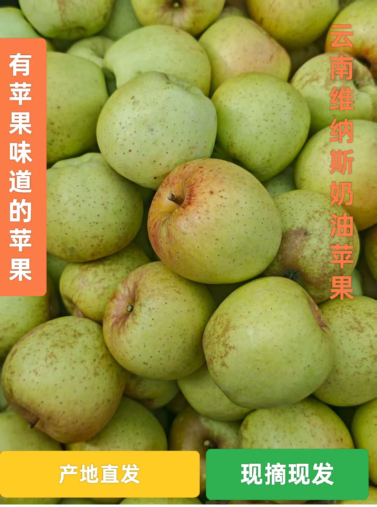 2025云南酸甜可口脆爽多汁维纳斯奶油苹果新鲜水果