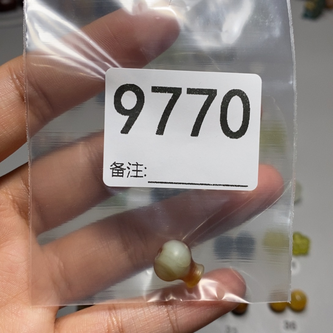 颈饰未镶嵌透闪石质玉田*