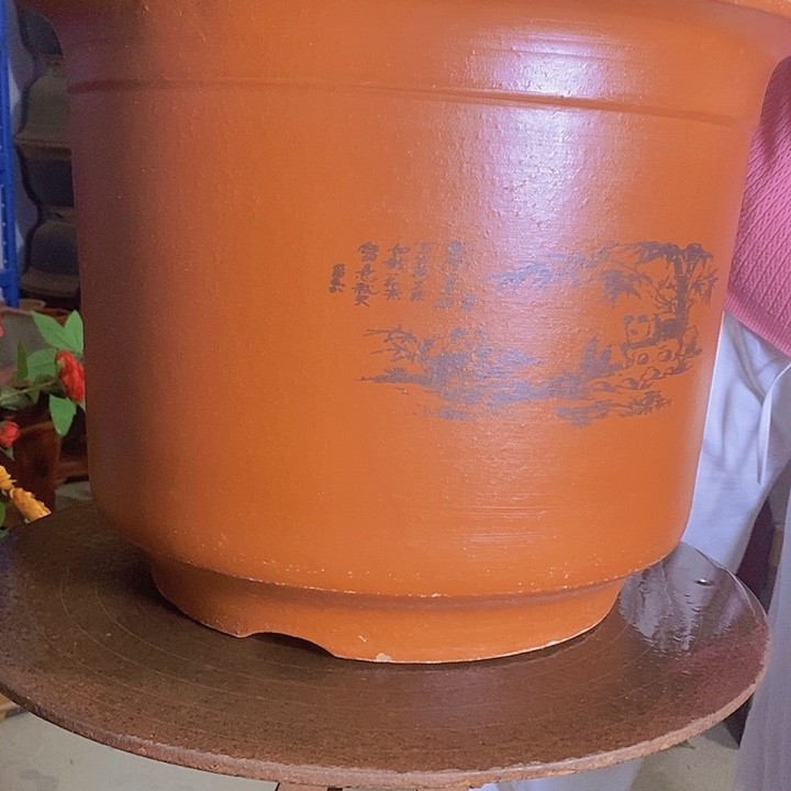 无花朵45平海哈哈哈哈哈哈