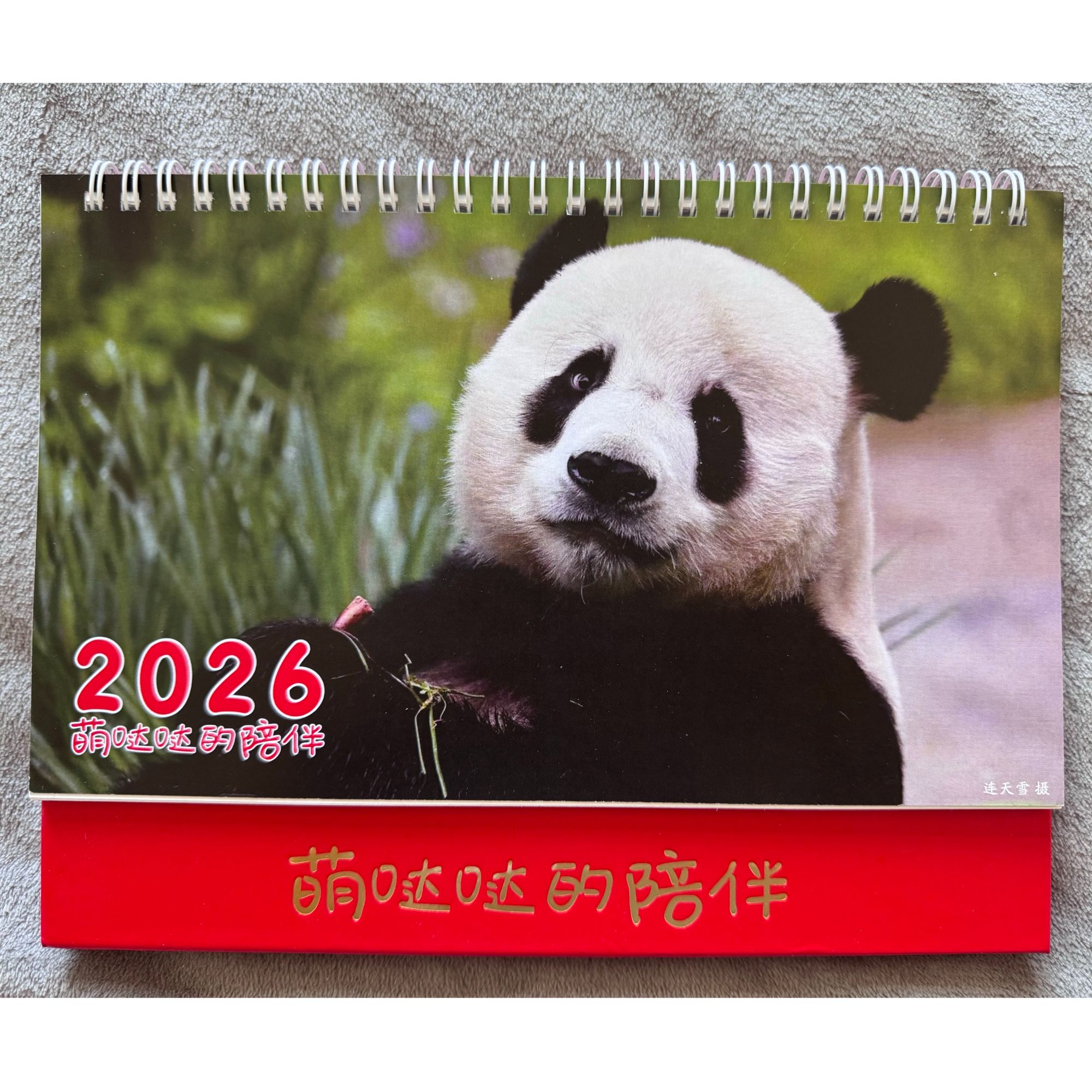潘达虎·大熊猫萌大2026年高清台历 9寸横板 画面高清