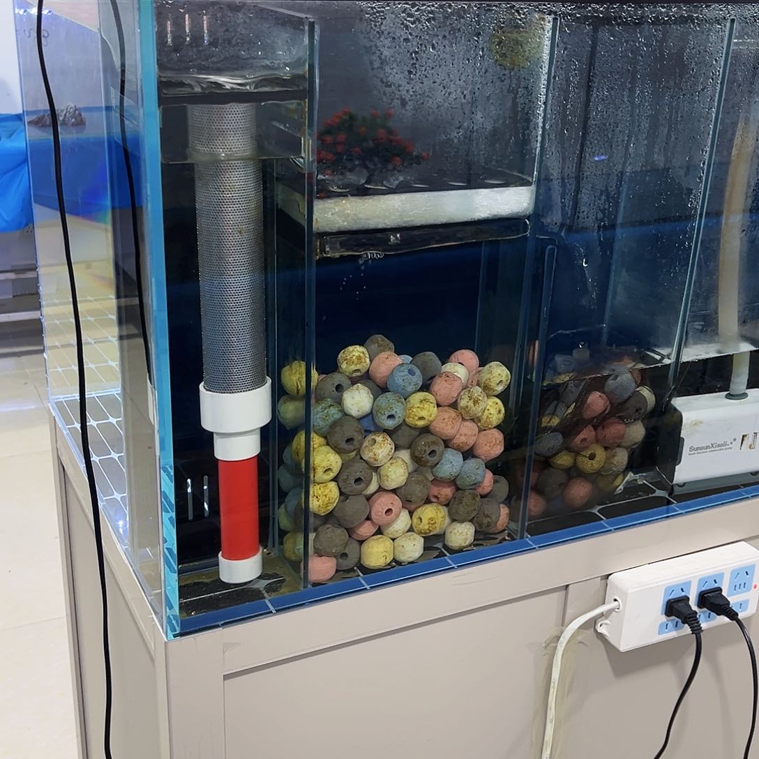 玻璃子404040单鱼马桶带全套