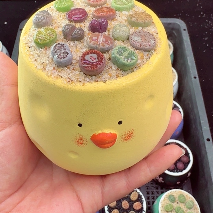 114凑满18包邮零下地区记得拍保温箱