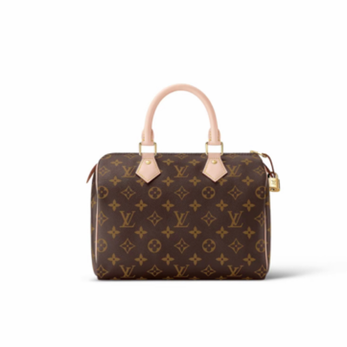 95新 LouisVuitton/路易威登 lv新款25