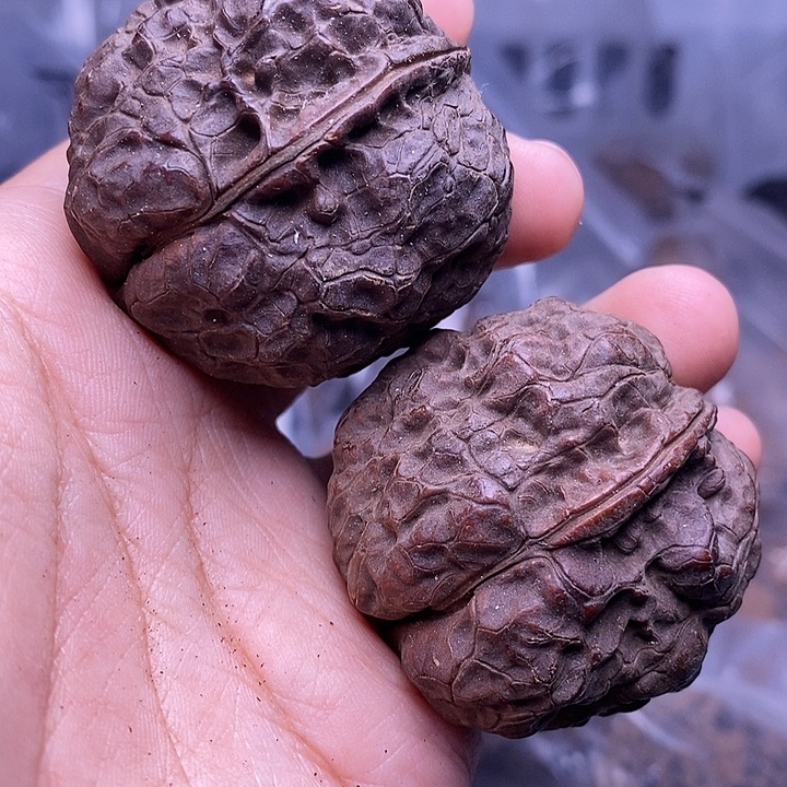 把件文玩核桃   160