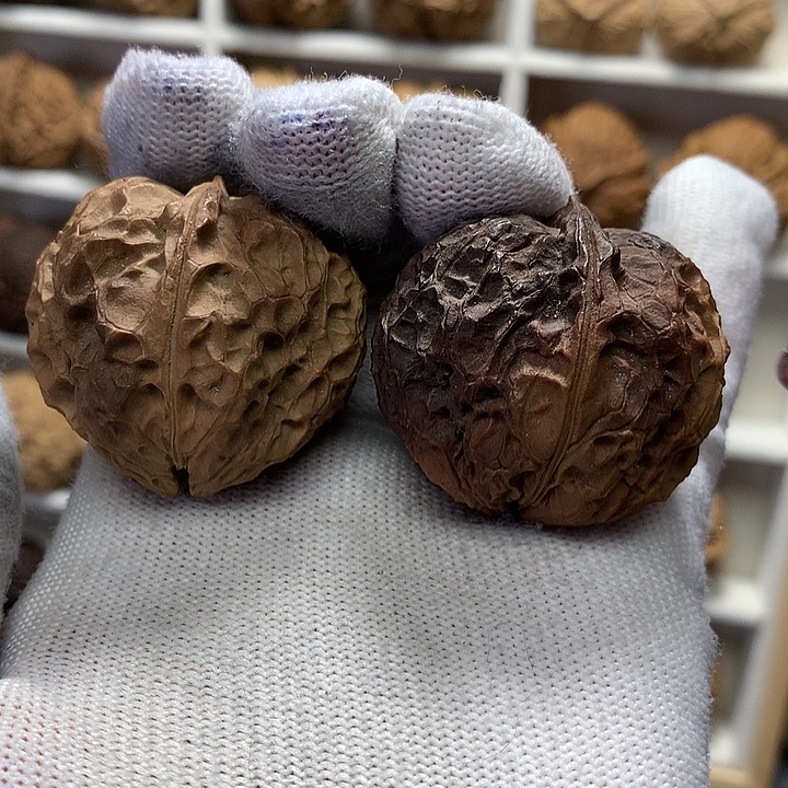 核桃38尺花彩心形对28号