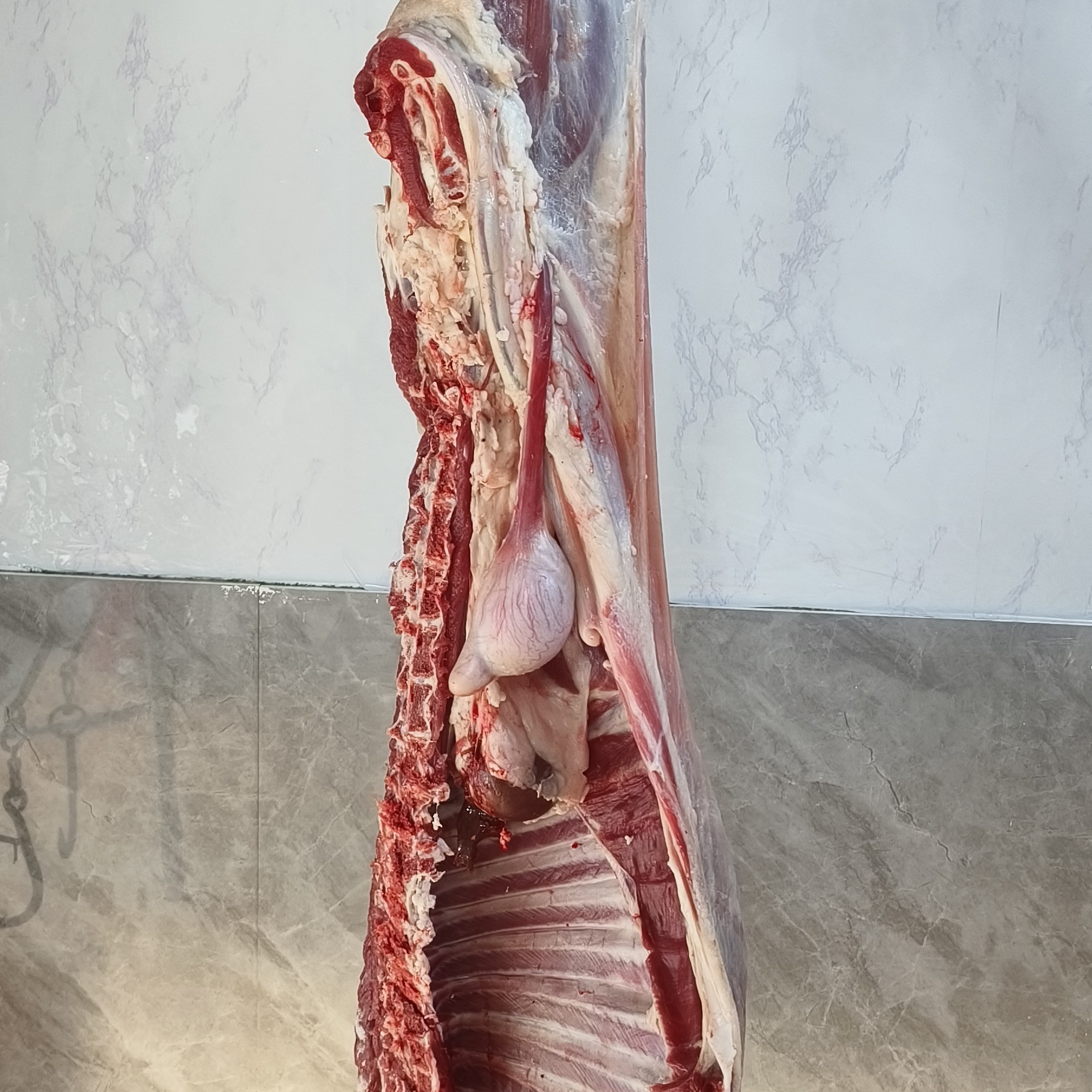 沂蒙臻选鲜羊肉【整只半只】现场称重为准